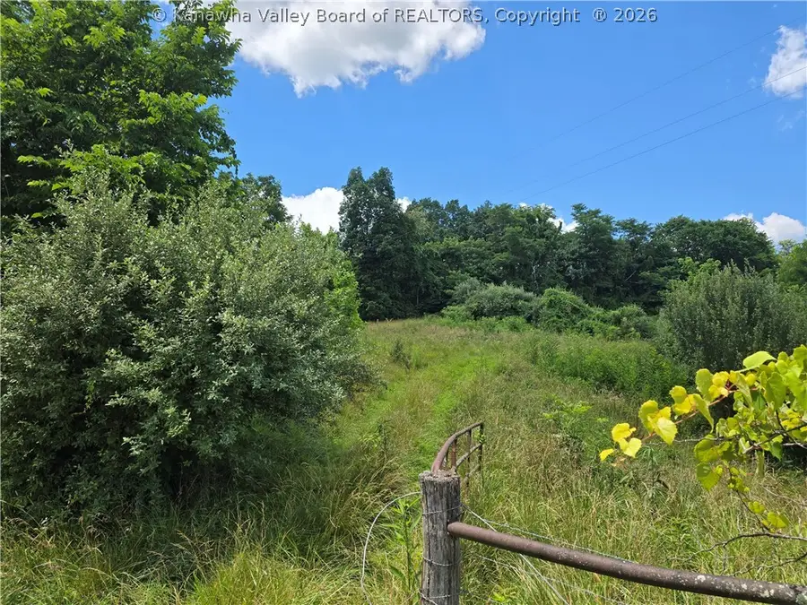 0 Peewee Hill Road, Sandyville, WV 25275 - #2