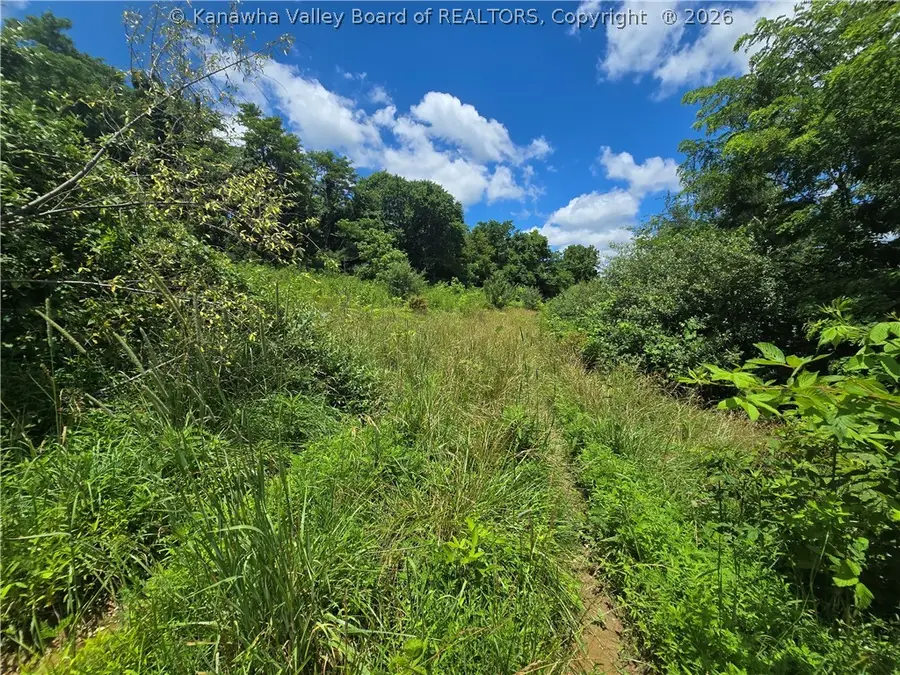 0 Peewee Hill Road, Sandyville, WV 25275 - #3