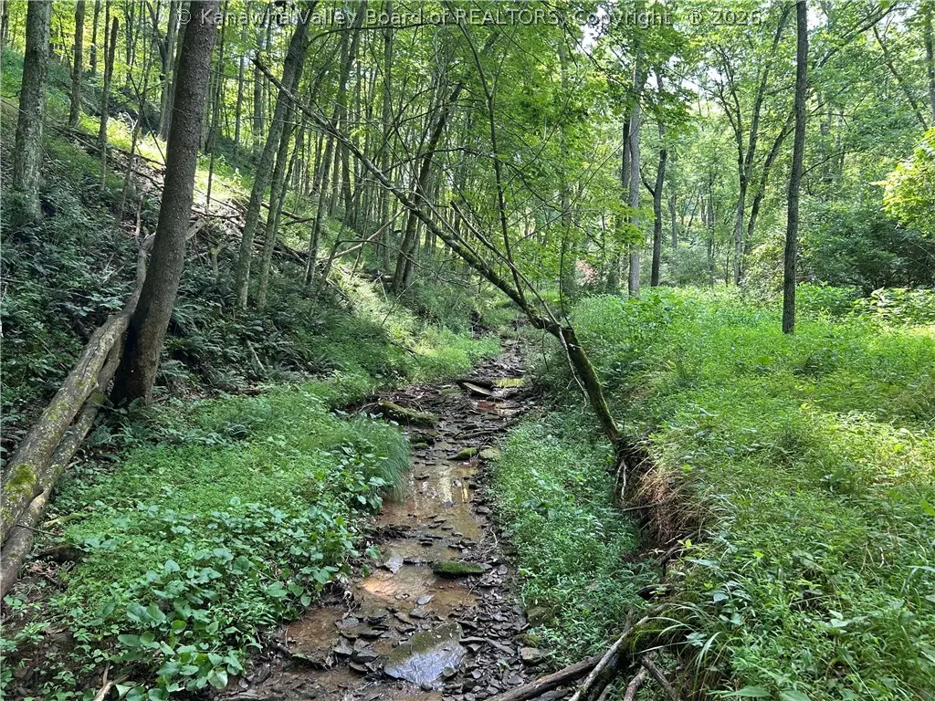 1640 Charleston Road, Spencer, WV 25276 - #1