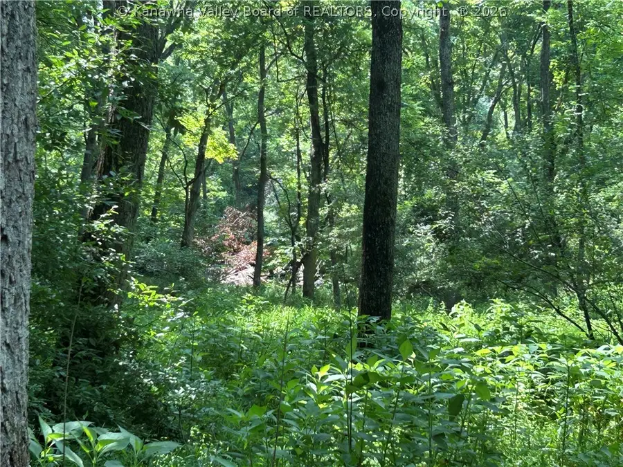 1640 Charleston Road, Spencer, WV 25276 - #2