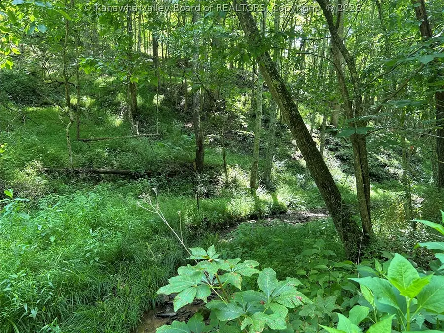 1640 Charleston Road, Spencer, WV 25276 - #3