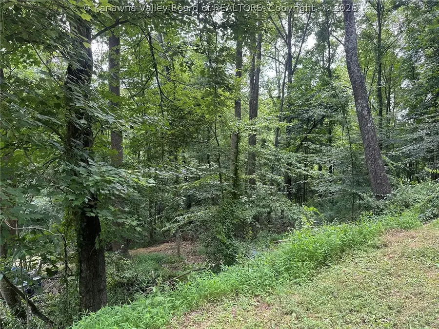0 Country Cove Estates, Scott Depot, WV 25560 - #2