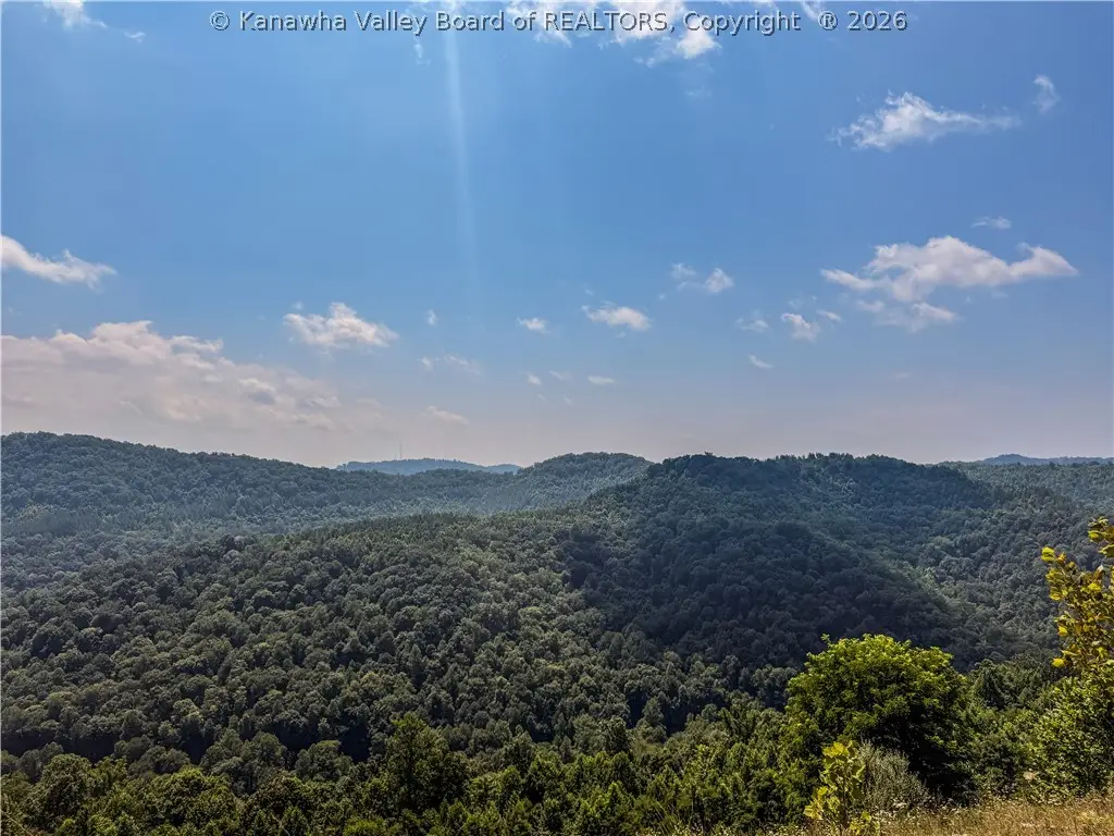0 Four Mile Hollow Road, Hernshaw, WV 25107 - #1