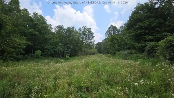679 Burnems Run Road, Sandyville, WV 25275