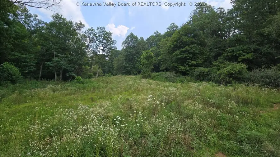 679 Burnems Run Road, Sandyville, WV 25275 - #2