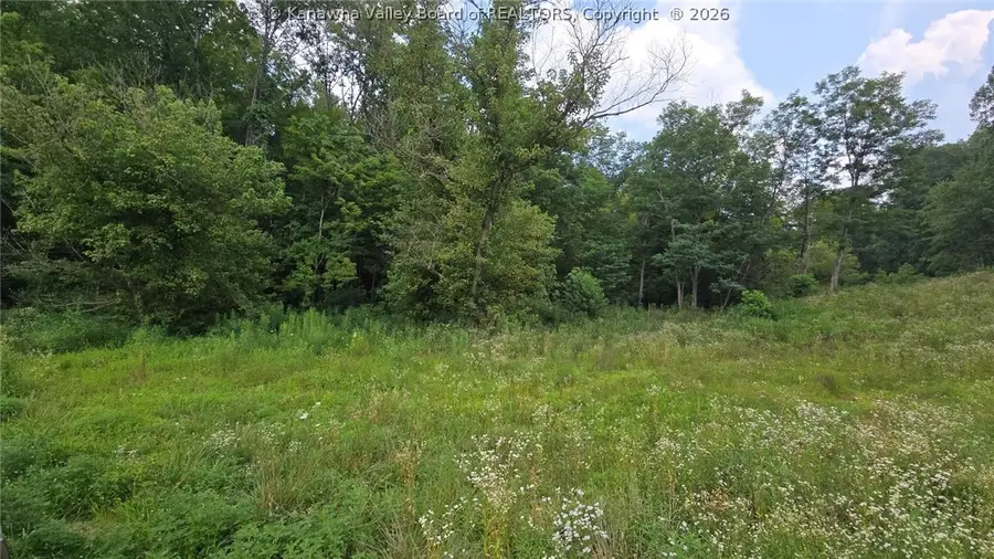 679 Burnems Run Road, Sandyville, WV 25275 - #3