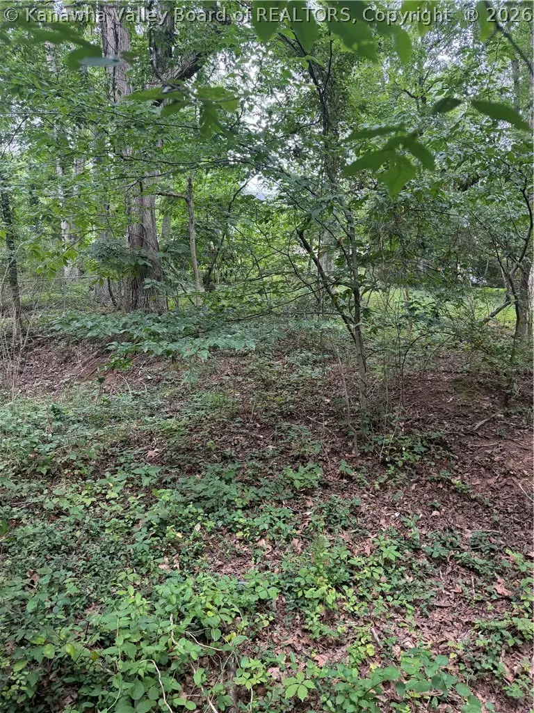 0 Monument Drive, Nitro, WV 25143 - #1