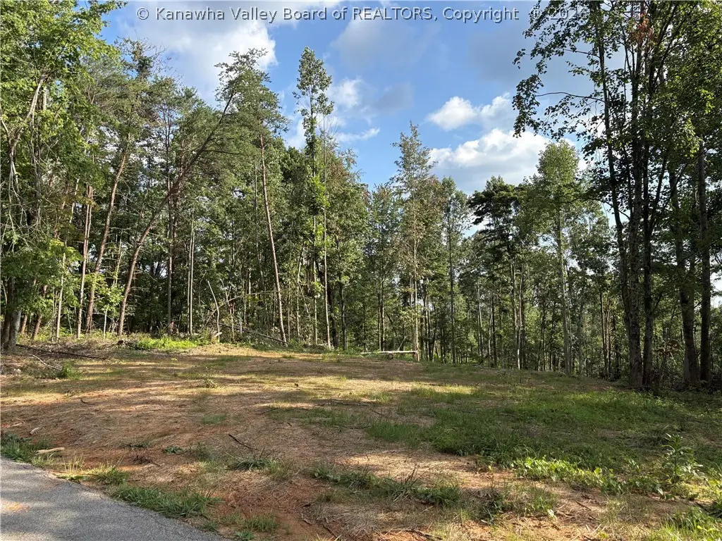 0 Stone Lick Road, Kenna, WV 25248 - #1