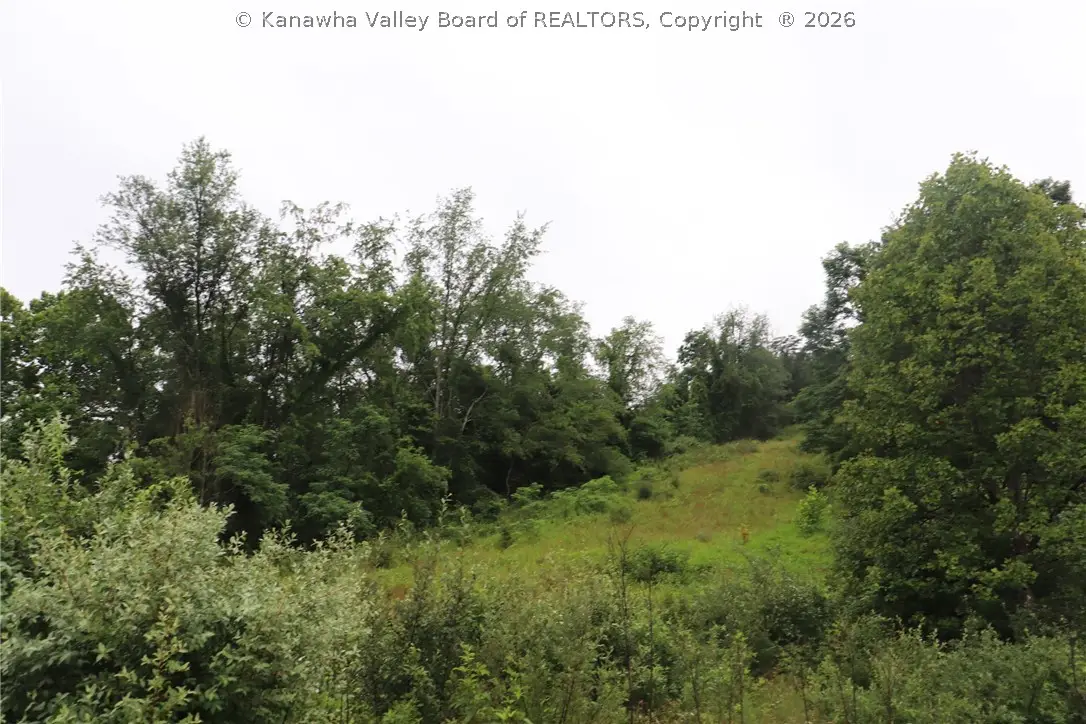0 Dairy Road, Poca, WV 25159 - #1