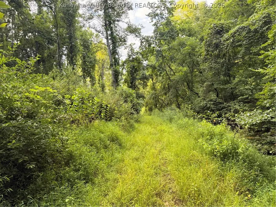 0 Dairy Road, Poca, WV 25159 - #2