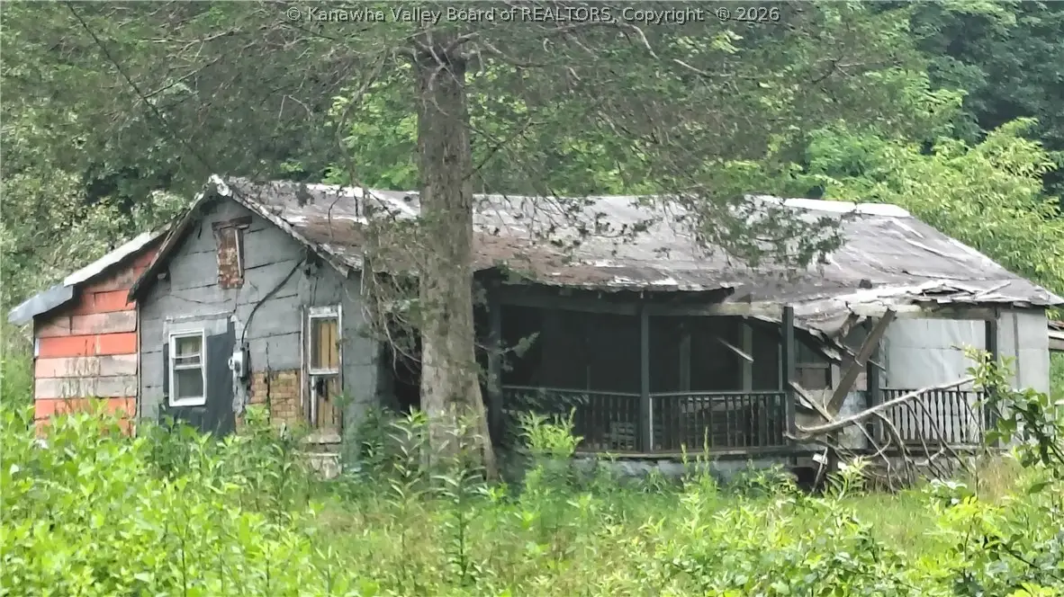 1341 Mulberry Fork Road, Robson, WV 25173 - #1
