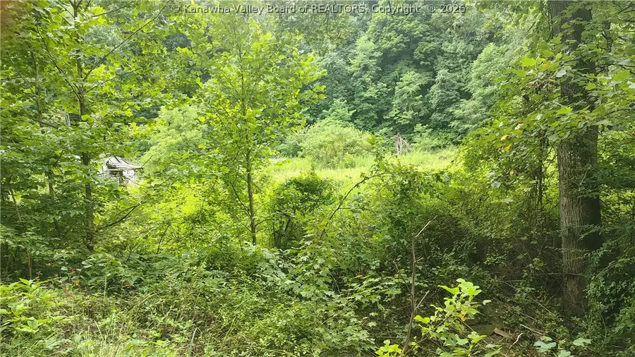 1341 Mulberry Fork Road, Robson, WV 25173 - #3