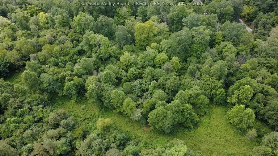 0 Land Merritts Creek Road, Huntington, WV 25702 - #3