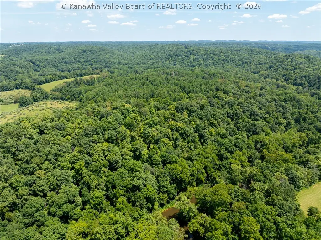 0 Carney Lane, Leon, WV 25123 - #1