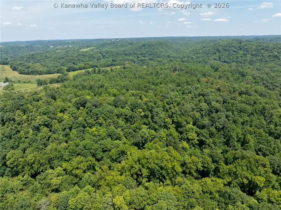 0 Carney Lane, Leon, WV 25123 - #2