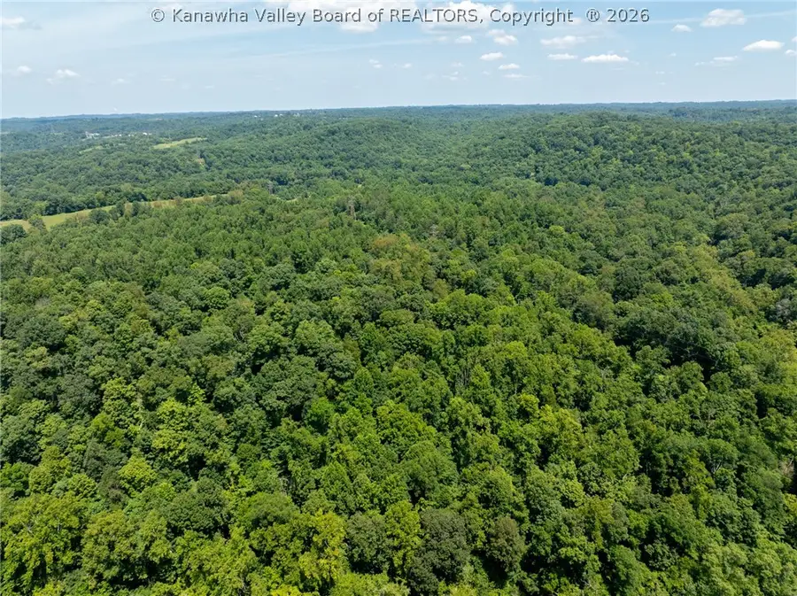 0 Carney Lane, Leon, WV 25123 - #3