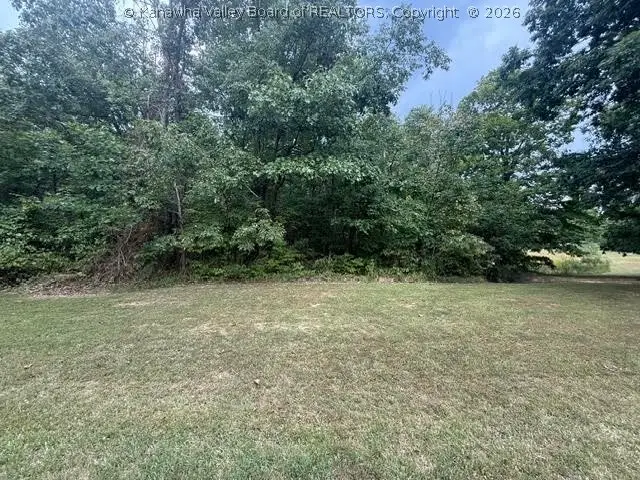 0 Gill Ridge Road, Letart, WV 25253 - #2