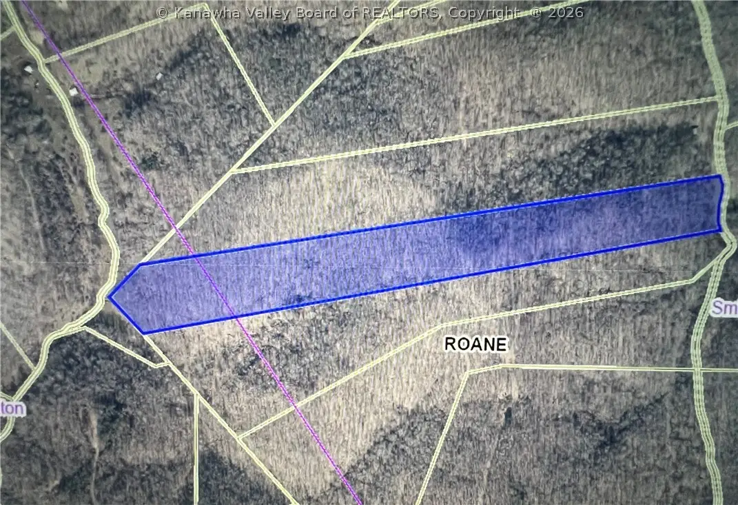 0 Rocky Branch Road, Looneyville, WV 25259 - #1