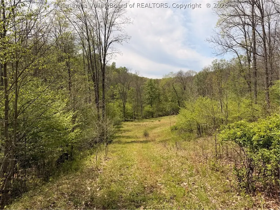 0 Cochran Road, Thornton, WV 26440 - #2