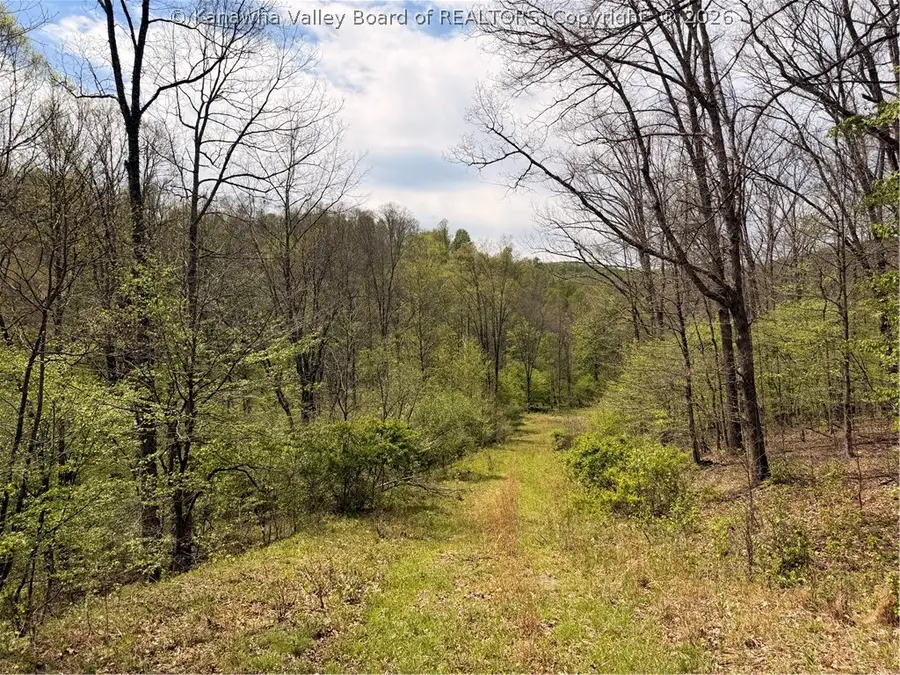 0 Cochran Road, Thornton, WV 26440 - #3