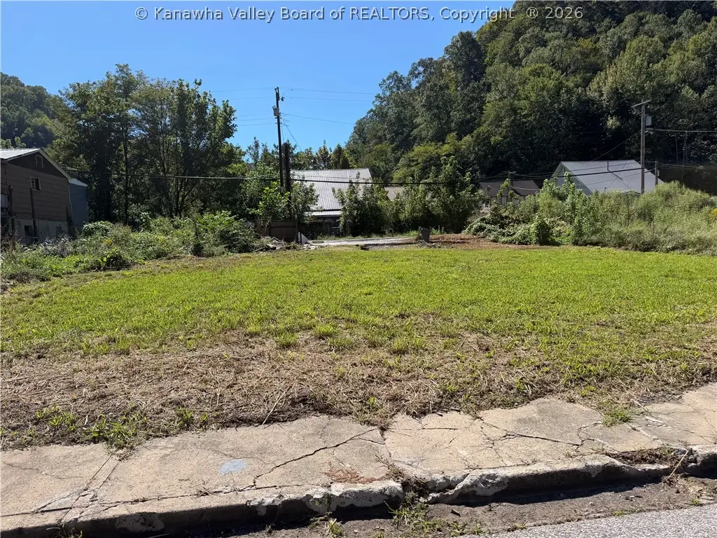 413 Coolidge Avenue, Holden, WV 25625 - #1