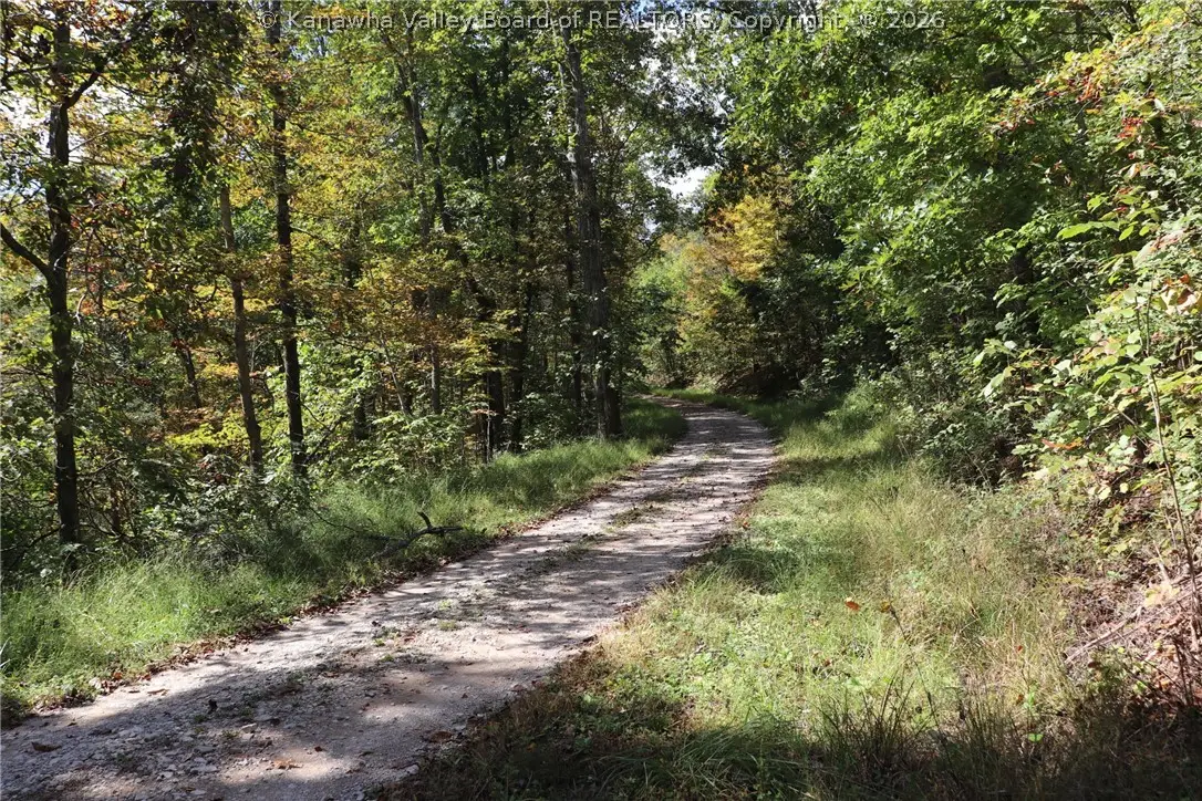 0 Mckowns Crk Road, Walton, WV 25286 - #1