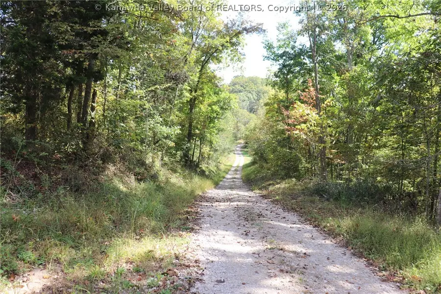 0 Mckowns Crk Road, Walton, WV 25286 - #2