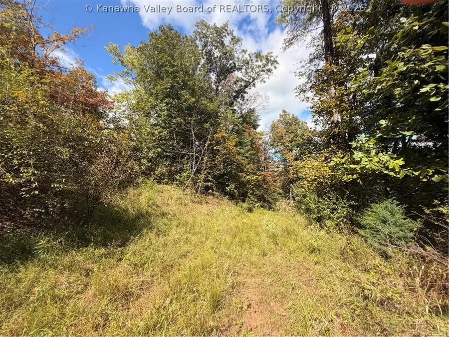 0 Mckowns Crk Road, Walton, WV 25286 - #3