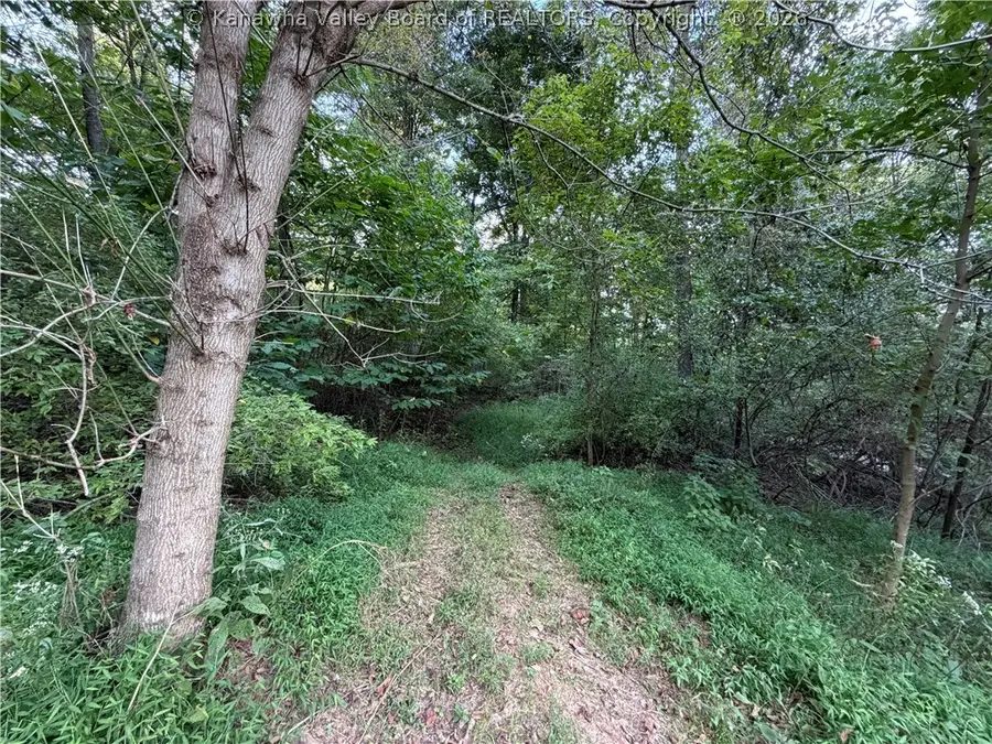 65 Nature's Way, Ripley, WV 25271 - #2