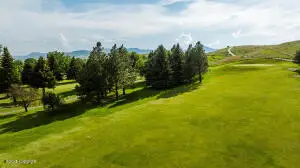 #3