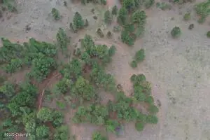 Tract B-6 Broad Axe Rd, Gillette, WY 82718 - Image #3