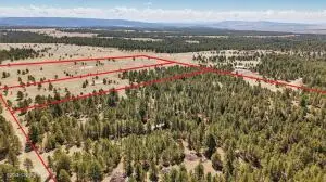 Tbd Bridlebit Rd, Newcastle, WY 82701 - Image #3