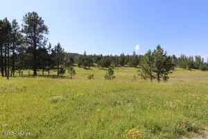 Tbd Reynolds Road, Sundance, WY 82729 - #2