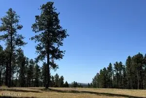 275 Remington Rd, Sundance, WY 82729