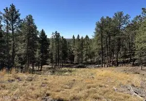 275 Remington Rd, Sundance, WY 82729 - #2