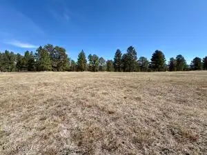 23266 Highway 85 N, Newcastle, WY 82701 - #2
