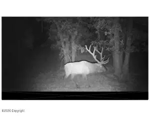 Tbd Geis Road, Aladdin, WY 82710