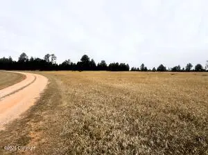 9 Colt Trail, Sundance, WY 82729