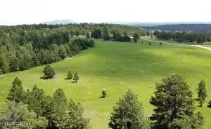 9 Colt Trail, Sundance, WY 82729 - #3