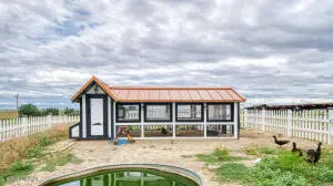 161 N Heptner Rd N, Rozet, WY 82727 - #3