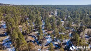 Tbd Coyote, Pine Haven, WY 82721 - #1