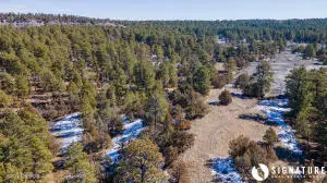 Tbd Coyote, Pine Haven, WY 82721 - #2