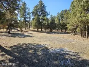 1116 Kellogg, Upton, WY 82730 - #3