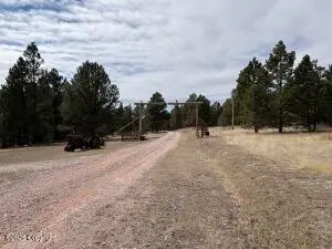 142 Bridle Bit Road, Newcastle, WY 82701 - #2