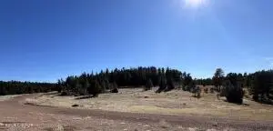 33 Ruger Rd, Sundance, WY 82729 - #3