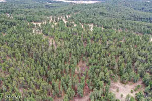 000 Remington Rd, Sundance, WY 82727 - #2