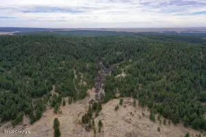 000 Remington Rd, Sundance, WY 82727 - #3