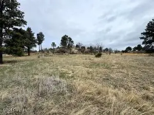 Tract 4 Triple R Bar, Oshoto, WY 82721 - #2