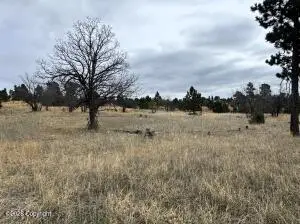 Tract 4 Triple R Bar, Oshoto, WY 82721 - #3