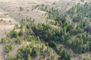 Tract C-1 Broad Axe Rd, Gillette, WY 82716 - #1